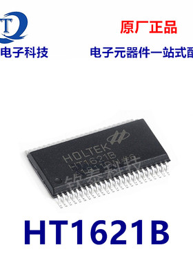 全新原装 HT1621B 贴片SSOP-48 RAM映射LCD驱动器IC芯片