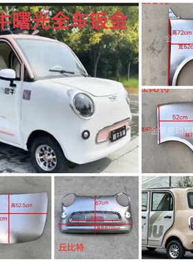 恩牛曙光Hs21电动车前杠钣金机盖钣金叶子板前大灯后尾灯