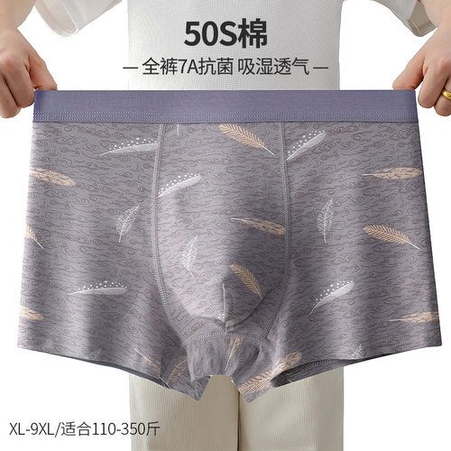 Underwear Men's Cotton Printed Boxer  Plus Size Underwear