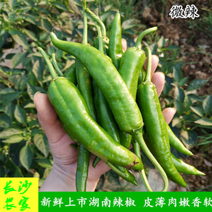 长沙农家 湖南新鲜蔬菜农家种植园辣椒薄皮软皮椒本地土辣椒2000g