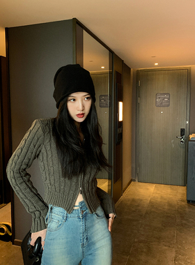 鲸鱼和玖 麻花开衫女秋2025年新款设计感小众短款针织衫灰色长袖