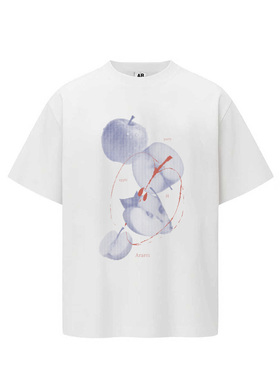 ARAR01 原创“波点水果”索罗娜凉感短袖T恤男女宽松情侣衣夏
