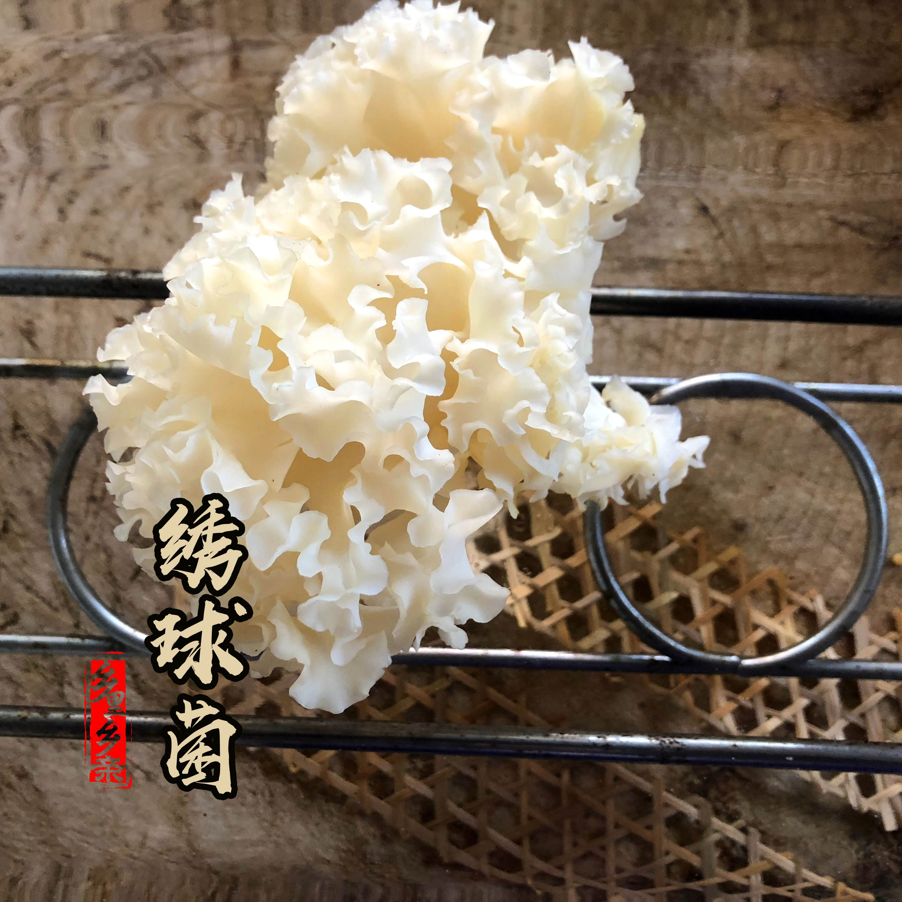 绣球菌 绣球菇 新鲜1kg 巴奴新火锅食材大酒店煲汤炒福建特产包邮