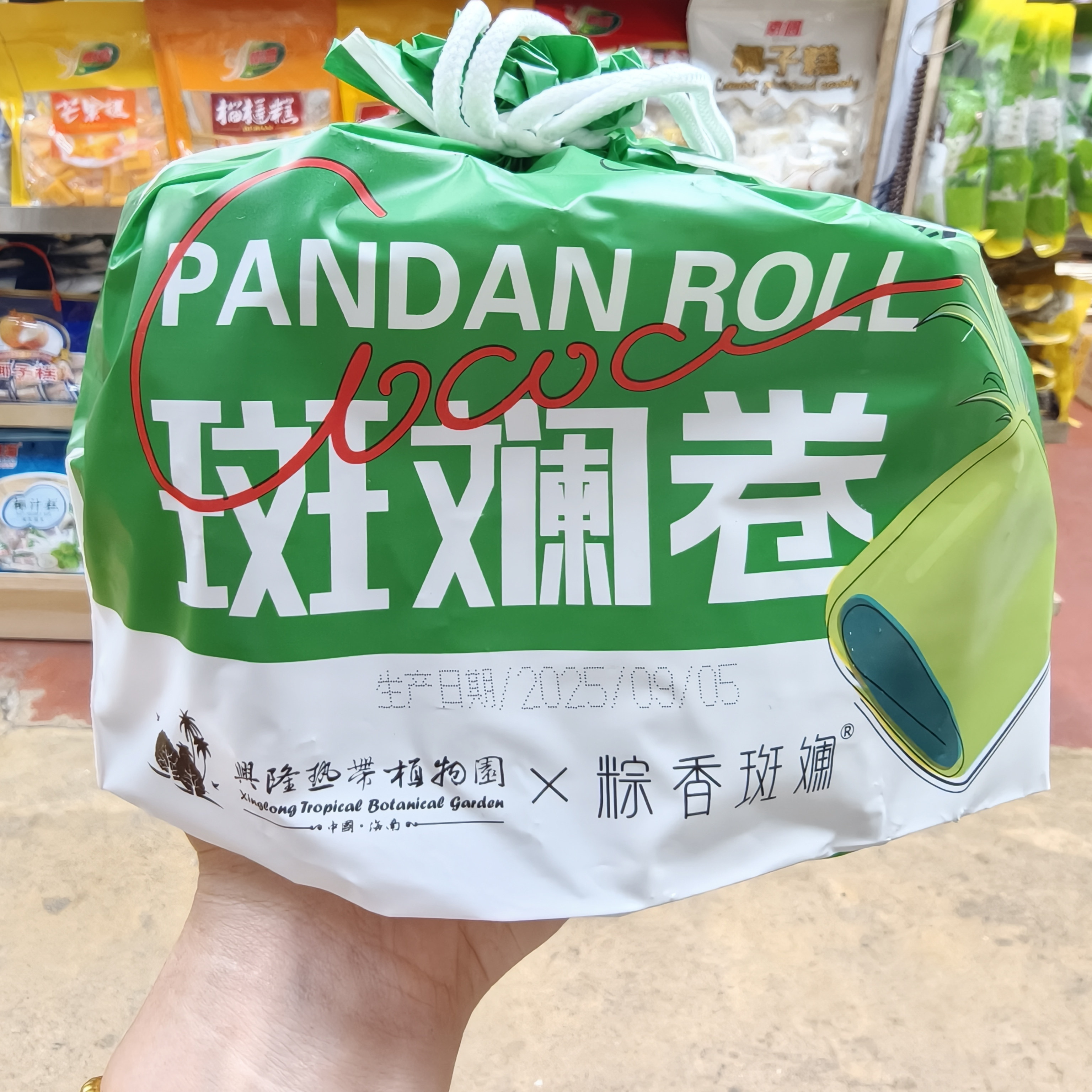 海南兴隆热带植物园椰子卷斑斓卷
