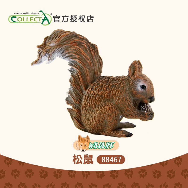 正品英国CollectA我你他 松鼠 仿真野生动物模型儿童玩具88467