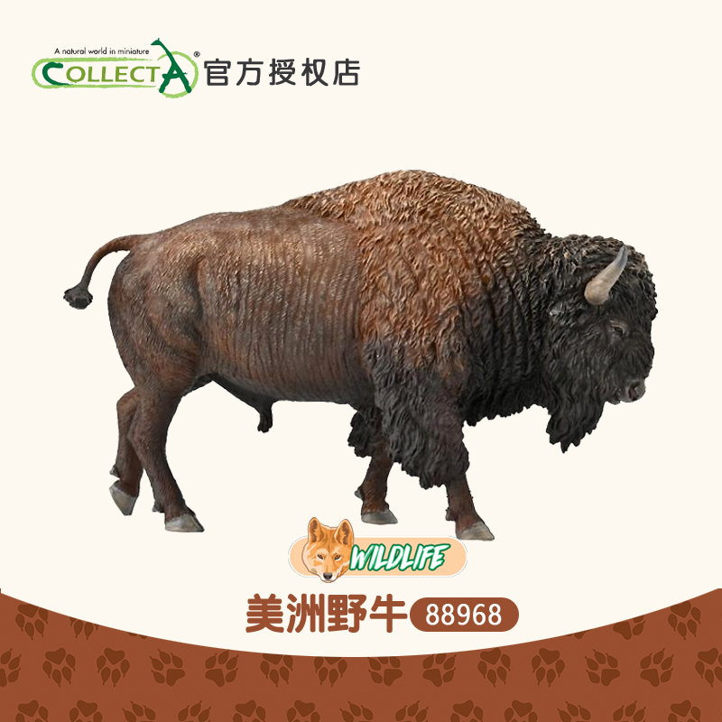 CollectA野牛仿真科普玩具模型