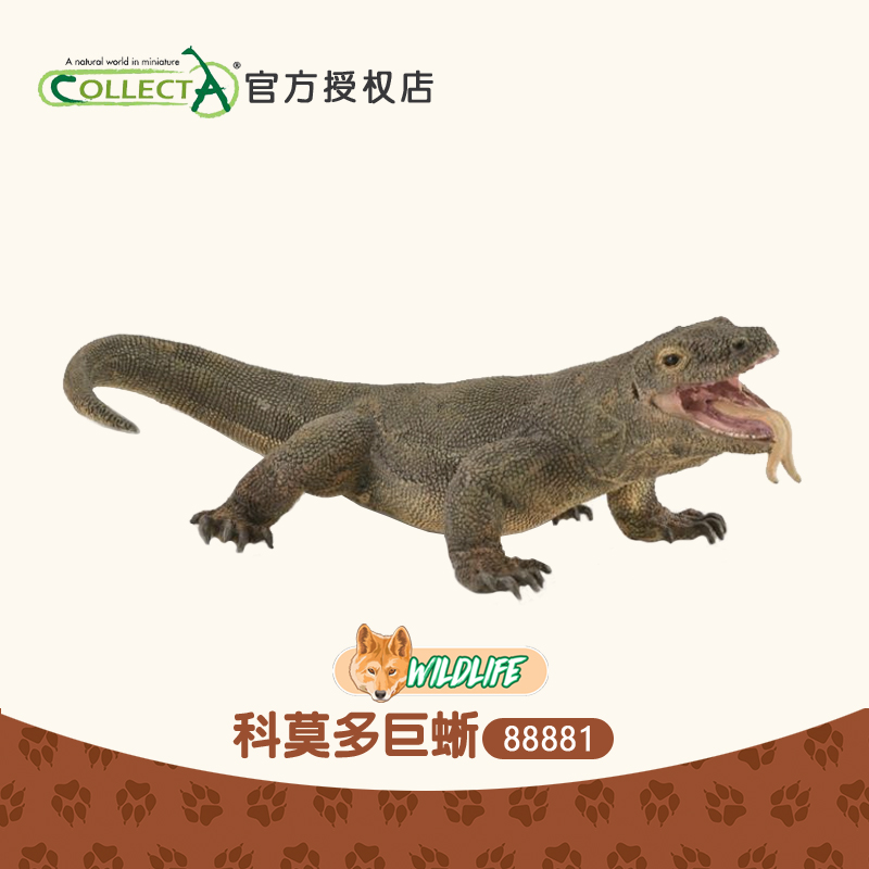 英国我你他仿真动物模型科普蜥蜴