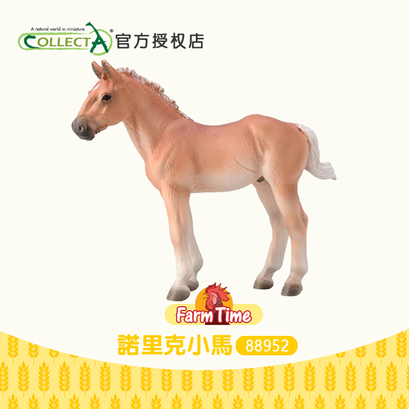 我你他小马塑胶静态动物玩具