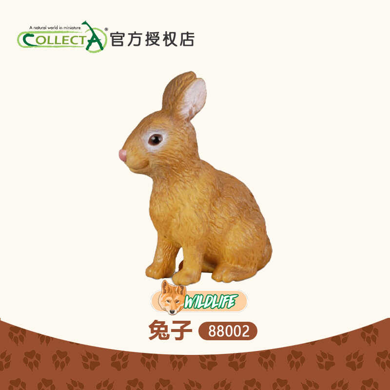 Collecta兔子农场牲畜动物摆件