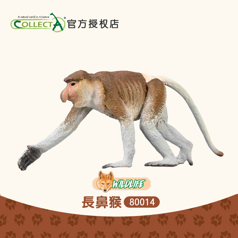 collecta长鼻猴模型玩具