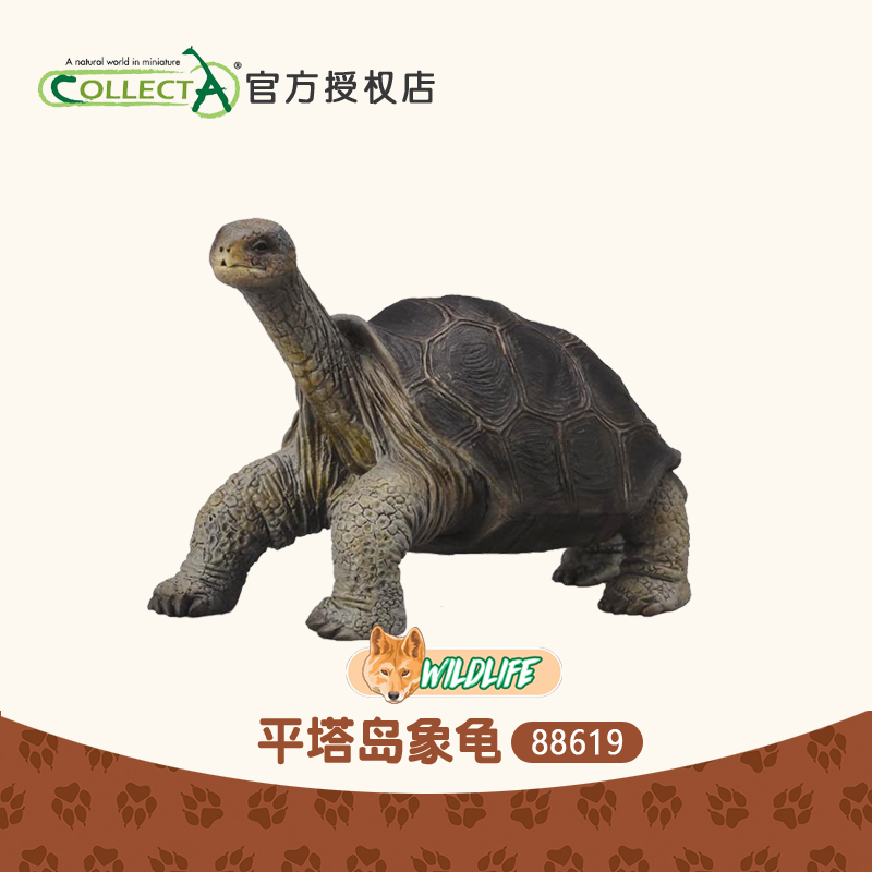 英国我你他仿真玩具动物模型