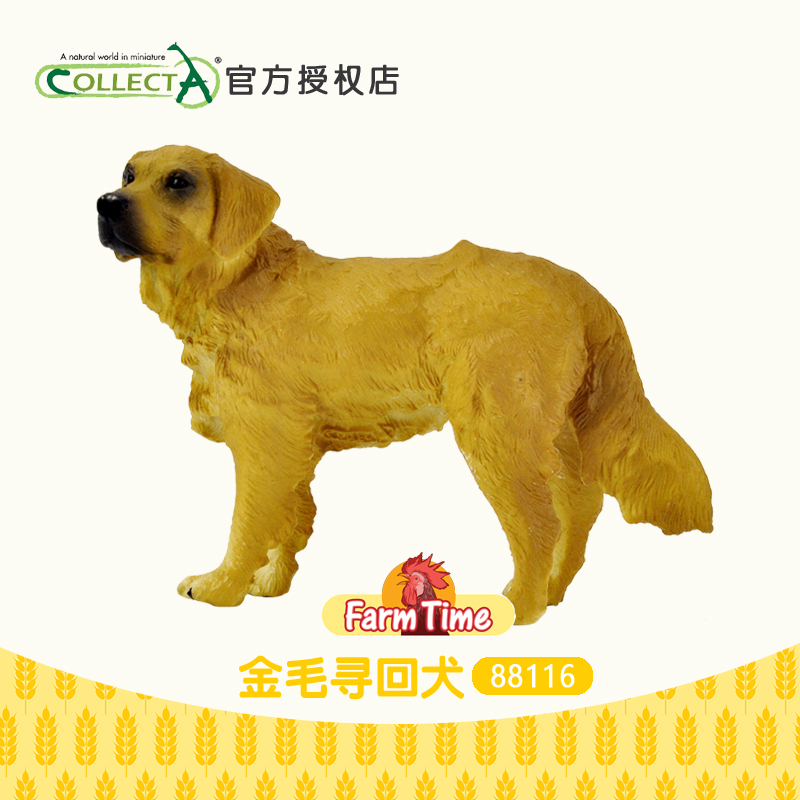正品英国我你他Collecta金毛寻回犬  宠物猎狗动物玩具模型88116