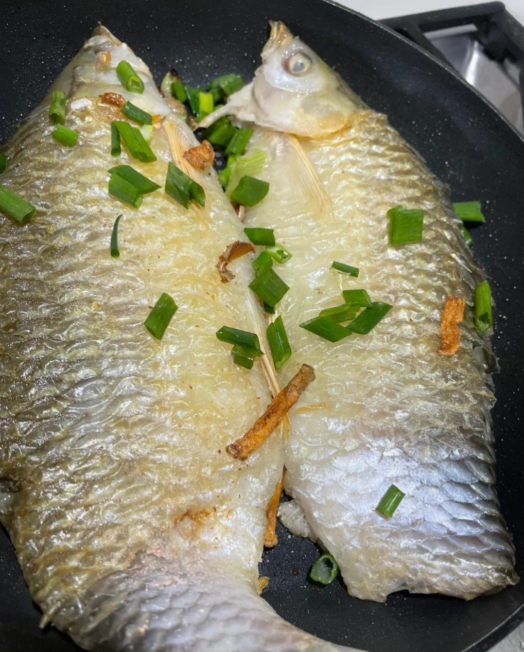 西亚忘不了鱼开背冷冻皇帝鱼腌制淡水苏丹鱼大鱼一件多条包邮