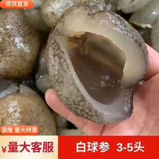 白球参茶球参免泡发 海参肉厚小海参珍珠参酒店所ktv围餐一份包邮