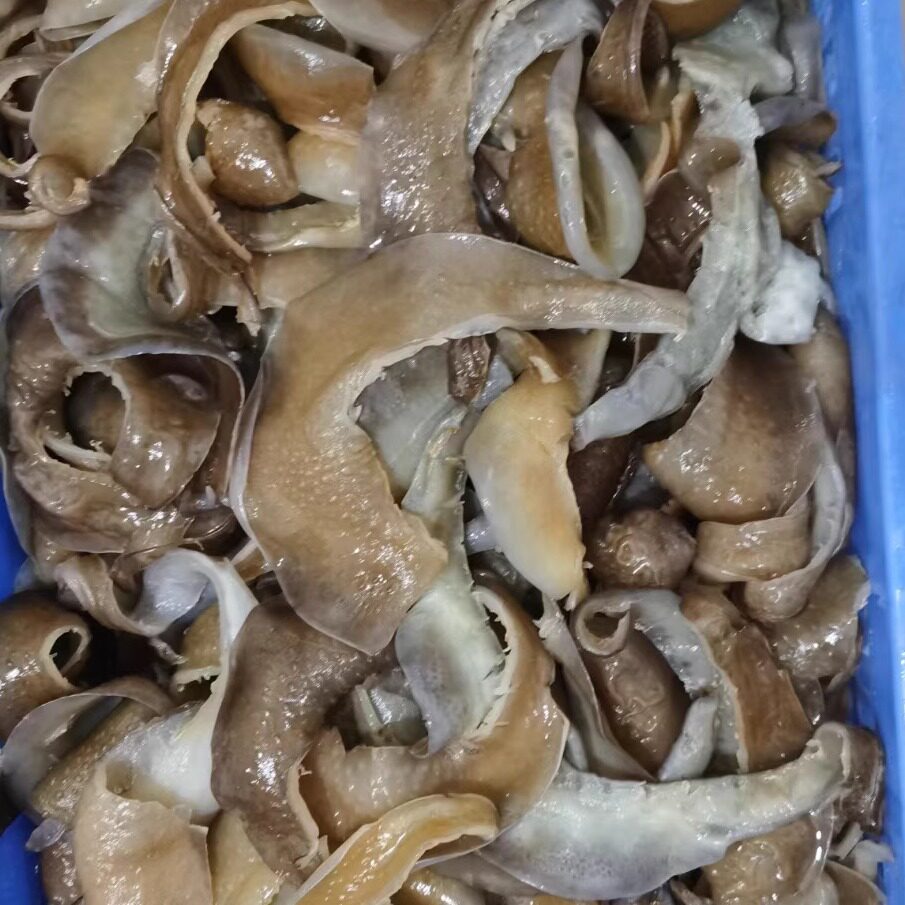 甲鱼裙边水发干货红烧一份包邮