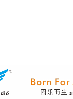 Flyer 阿飞DUELUND 杜兰 方芯 金银合金线 喇叭线 信号线电源线