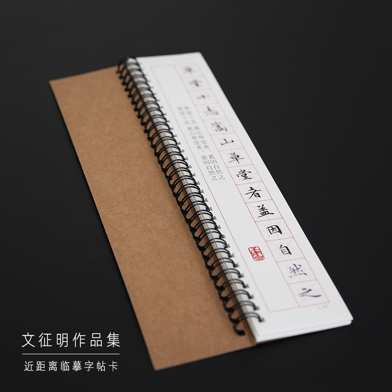 文征明琴赋草堂十志小楷毛笔楷书字帖基础书法入门原帖临摹回米格