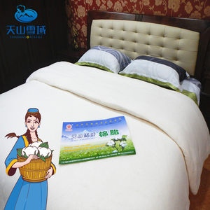 天山雪域新疆无网棉胎被芯棉絮