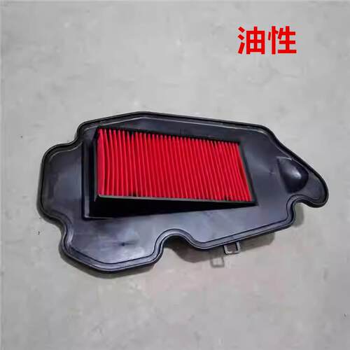适用摩托车配件DH125T-31-36-37-37A裂行RXEXNX空气滤清器滤芯
