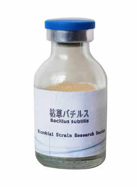抑制有害藻枯草芽孢杆菌调水净水