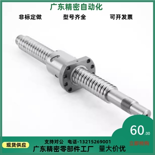 滚珠丝杆套装BSX BSS BSSE0601 1004 1202 1210 1505 2010 2520