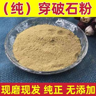 穿破石粉 野生无硫穿破石粉 柘根川破石地棉根黄蛇根包邮