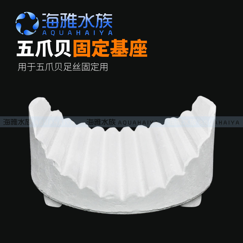 水族五爪贝基座珊瑚底座支架