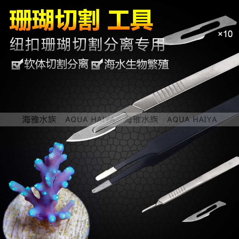 软体珊瑚繁殖用切刀分离纽扣手套