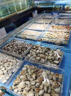海鲜档口用花甲框 篮子 漏沙盒子大孔增高带支架PC塑料透明蓝白色