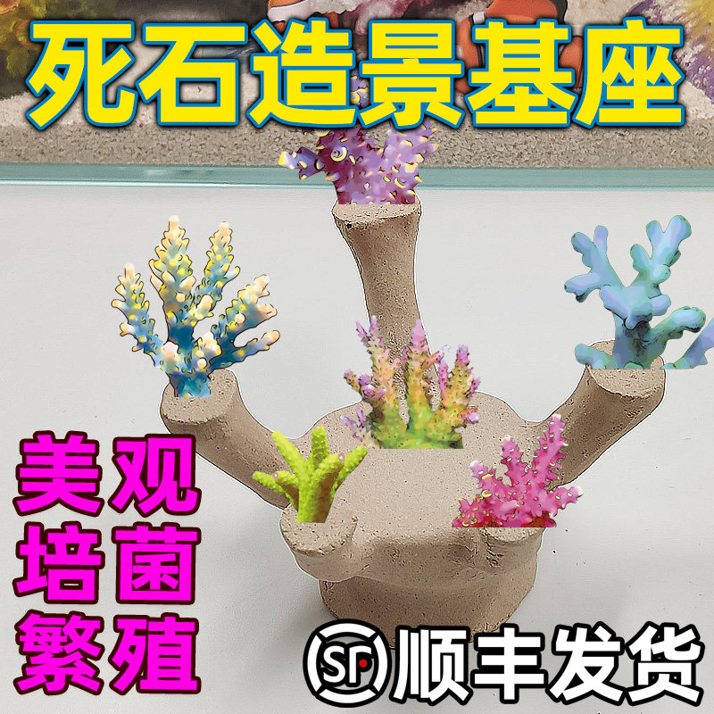 皇海基座哪吒沙弥断枝硬骨造景