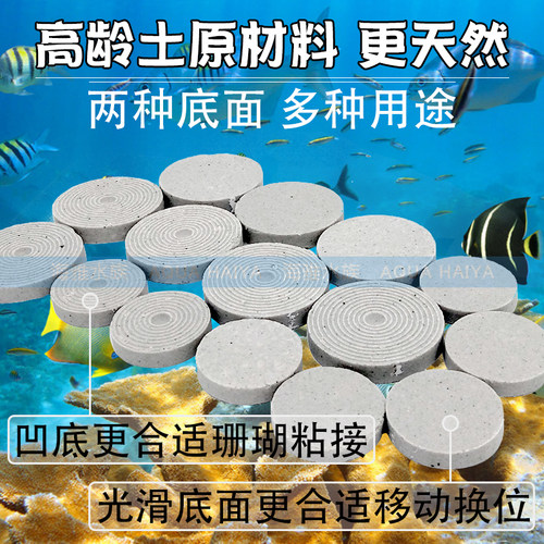 珊瑚繁殖基石软体纽扣硬骨断枝肢