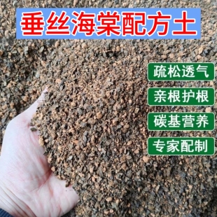 垂丝海棠专用土疏松透气亲根专用配方土易成活开花多家庭盆栽专用