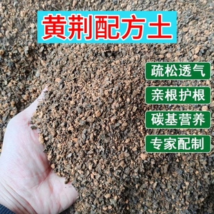 黄荆专用土疏松透气亲根专用配方土易成活开花多家庭盆栽专用
