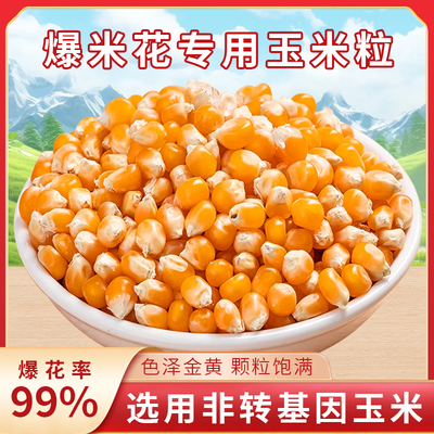 专用爆米花玉米粒爆裂玉米原料家用批发电影院ktv自己爆东北新货