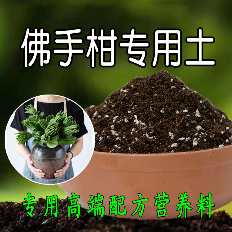 佛手柑专用土营养土养花用家用盆栽花卉有机花泥土壤种植土腐殖土