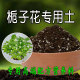 栀子花专用土 栀子花种植土壤专用营养土家用盆栽种花养花有机土