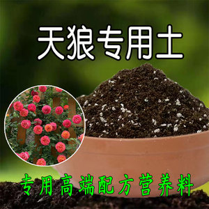 天狼月季专用营养土腐殖土养花保水透气配方通用有机泥炭栽培基质
