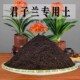 君子兰专用土君子兰专用营养土盆栽养花种植土壤肥料通用种花土培