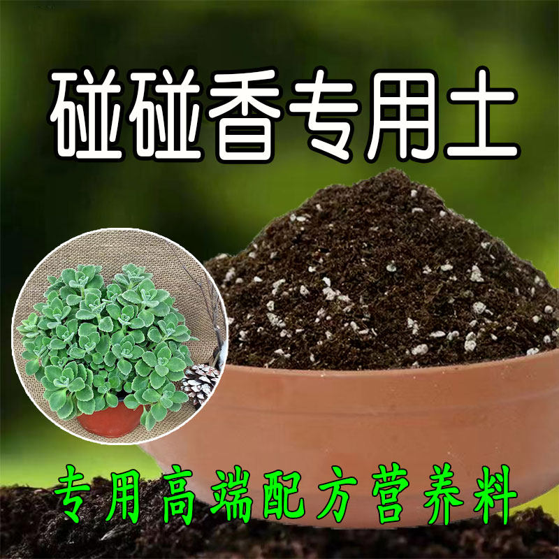 碰碰香专用土驱蚊草盆栽肥料花泥土营养土种植土壤有机肥料腐殖土