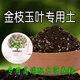 金枝玉叶多肉专用土营养土肥料盆土种花养花土壤种植土有机腐殖土