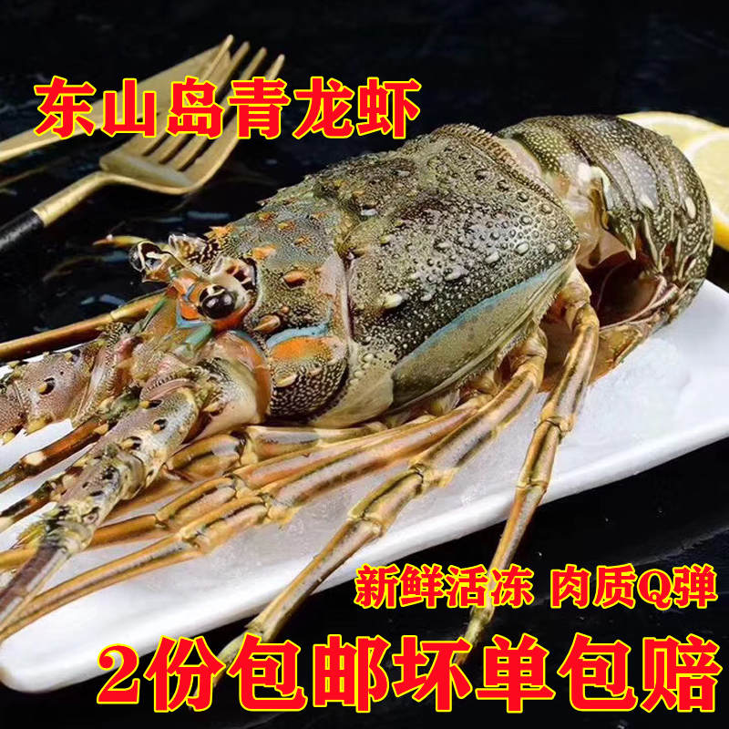 小青龙龙虾 东山野生海鲜水产 冻虾