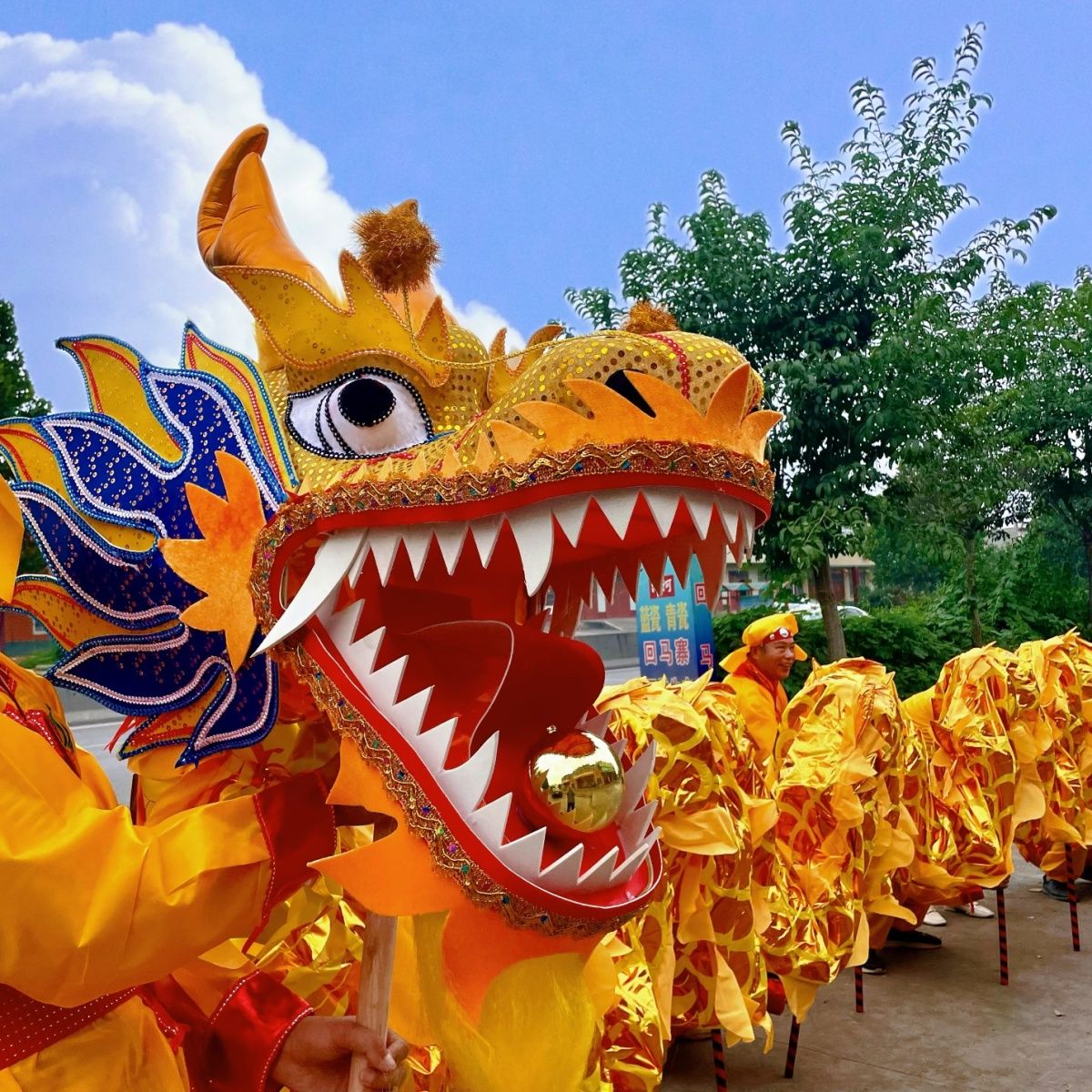 国标3号舞龙道具灯竞技烫金舞龙服装专业舞龙舞狮龙头演出