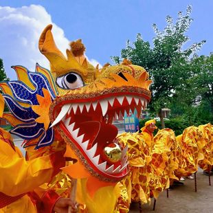 国标3号舞龙道具灯竞技烫金舞龙服装专业舞龙舞狮龙头演出