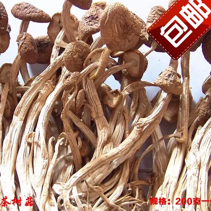 丽水农家特产茶树菇干货不开伞香菇干货菌菇 新菇200克包邮