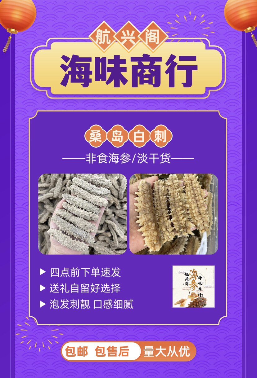桑岛白刺参白玉参 深海淡干优质货 泡发率高刺多滋补品500g包邮