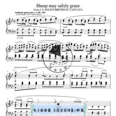 Sheep May Safely Graze 巴赫BWV208 钢琴谱 五线谱 送音频—乐谱