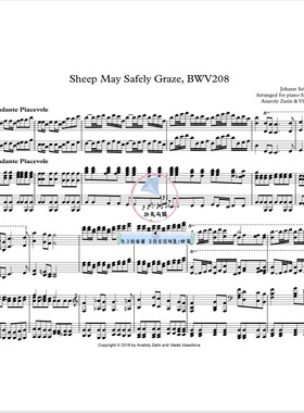 Sheep may safely graze BWV208 巴赫 四手联弹 官方原版 古典乐