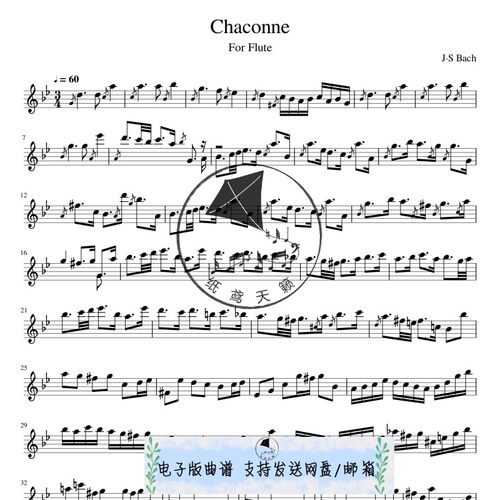 chaconne 恰空 长笛独奏 改编自巴赫 BWV 1004  古典音乐