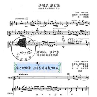 洪湖水 浪打浪-小提琴二重奏谱+手风琴伴奏谱 五线谱经典红歌乐谱