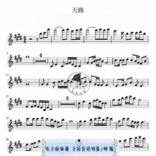 天路-韩红-陈蓉晖 小提琴谱 五线谱2页 送伴奏音频